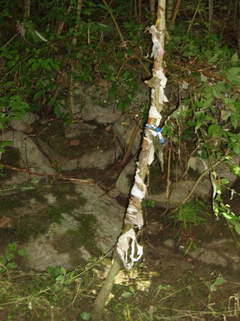 Entlastung Steinach Lukasmüli danach 18.8.08 005