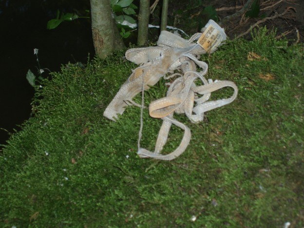 Entlastung Steinach Lukasmüli danach 18.8.08 015